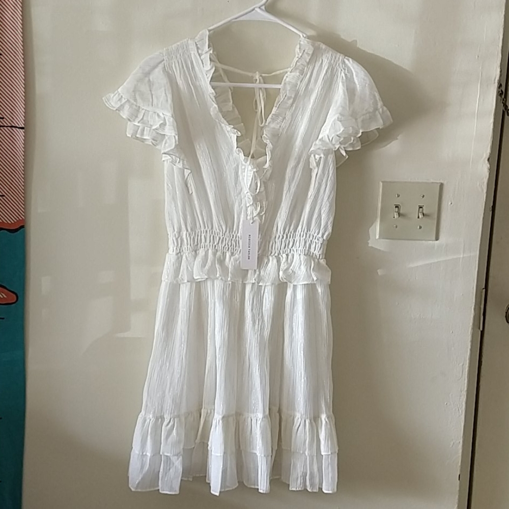 NWT Rebecca Taylor gauzy metallic dress